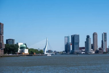 Rotterdam şehri Erasmus Köprüsü ve modern mimari kuleleri, mavi gökyüzü. Hollanda