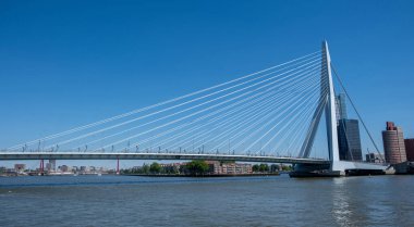 Rotterdam şehri Erasmus Köprüsü ve modern mimari kuleleri, mavi gökyüzü. Hollanda