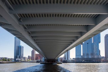 Rotterdam şehri Erasmus Köprüsü ve modern mimari kuleleri, mavi gökyüzü. Hollanda