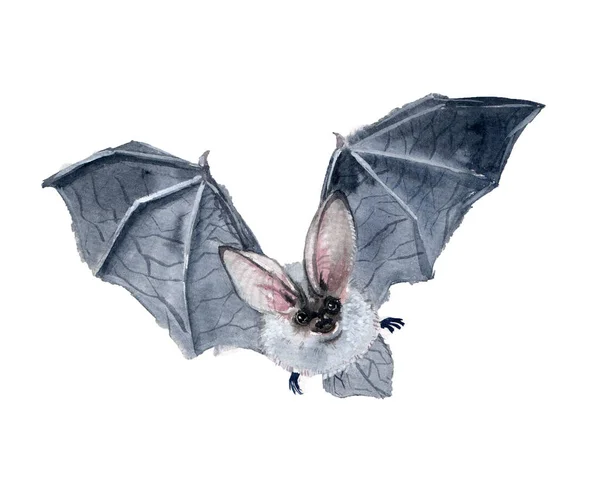 Ακουαρέλα Άσχημο Νυχτερίδα Στο Λευκό Φόντο Χαρούμενο Χελοουγουίν — Φωτογραφία Αρχείου