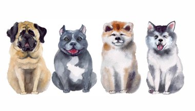 Beyaz arka planda sevimli suluboya köpek