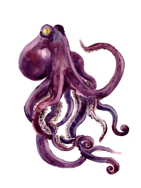 Cute Watercolor Octopus White Background — Stock Photo, Image