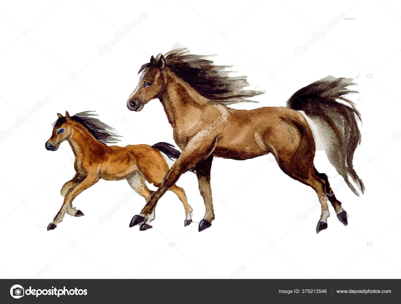 sówatercolor: DESENHO - Desenho do cavalo