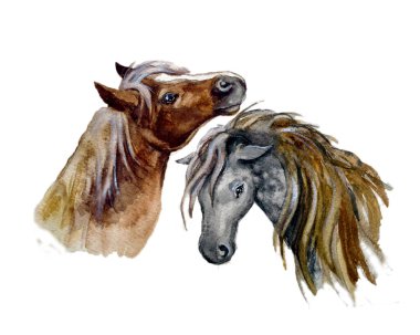 Beyaz arka planda tatlı suluboya at. Hayvan suluboya silueti çizimi. El çizimi resim çizimi. Kumaş, tişört, kartpostal, tebrik kartı, kitap, poster, çıkartma için grafiksel çizim.