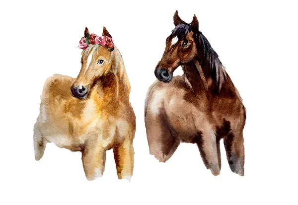 Carino Cavallo Acquerello Sullo Sfondo Bianco Disegno Silhouette Acquerello Animale — Foto Stock