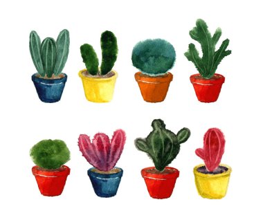 Kaküslü suluboya seti. Batılı el çizimi