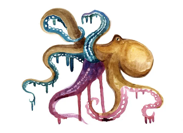수채류 옥토퍼스 실루엣 동물의 문어가 배경에 있습니다 색깔의 실루엣 스케치 — 스톡 사진