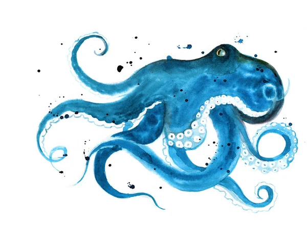 Aquarell Krake Oktopus Silhuette Wildlife Art Illustration Aquarell Krake Auf — Stockfoto