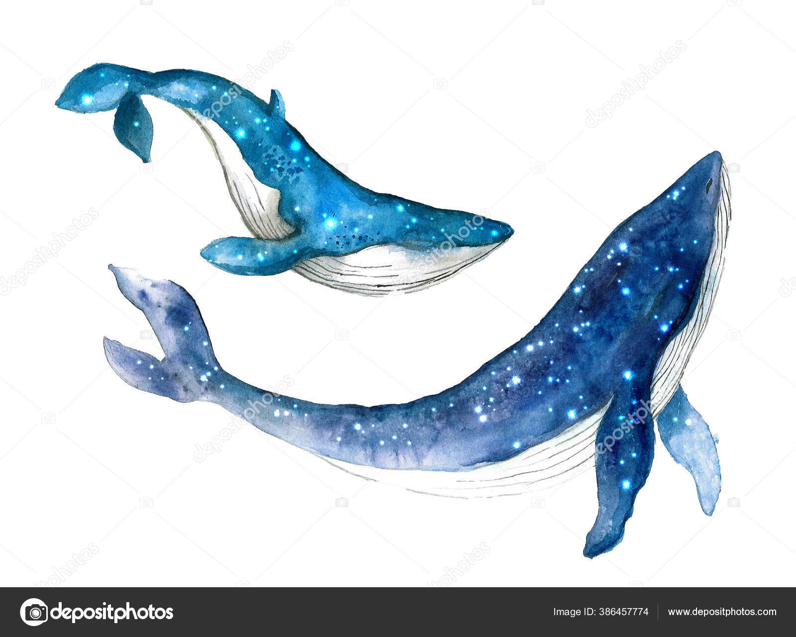 Ballena dibujo fotos de stock, imágenes de Ballena dibujo sin royalties |  Depositphotos