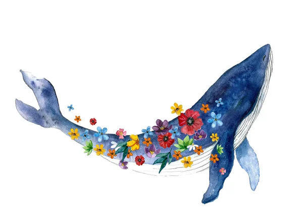 Watercolor Whale Hand Painted Illustration Isolated White Background Animal Watercolor — Stock Photo, Image