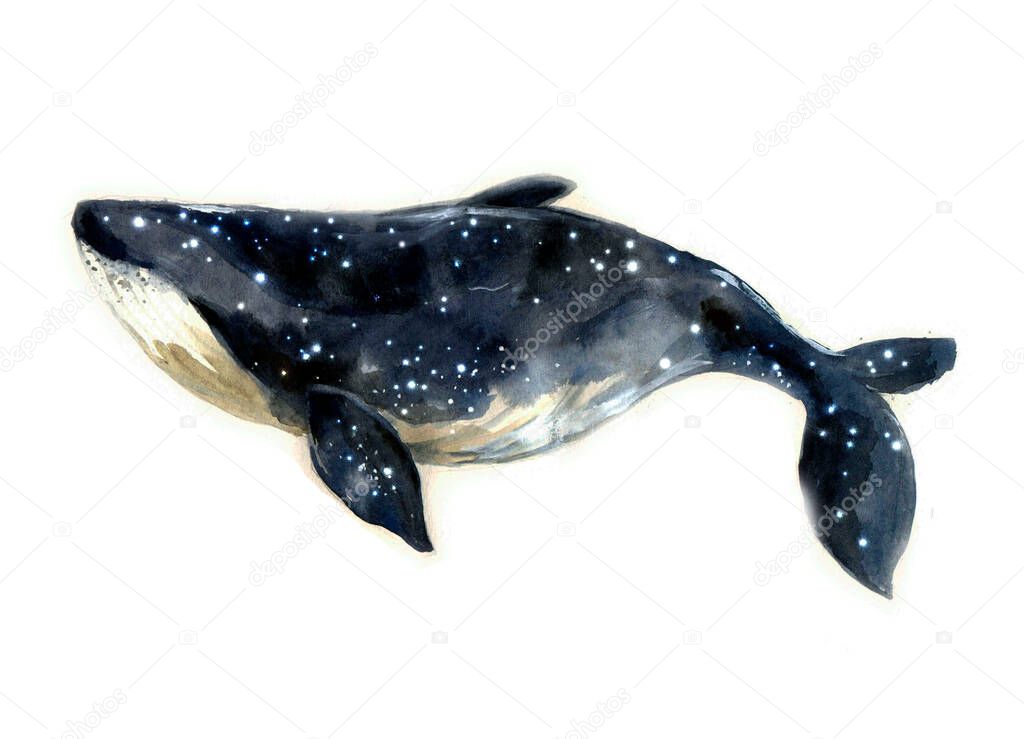 Watercolor whale hand painted illustration isolated on white background.Animal watercolor silhouette sketch. Hand draw art illustration.Graphic for fabric,tee-shirt, postcard, greeting card, sticker.