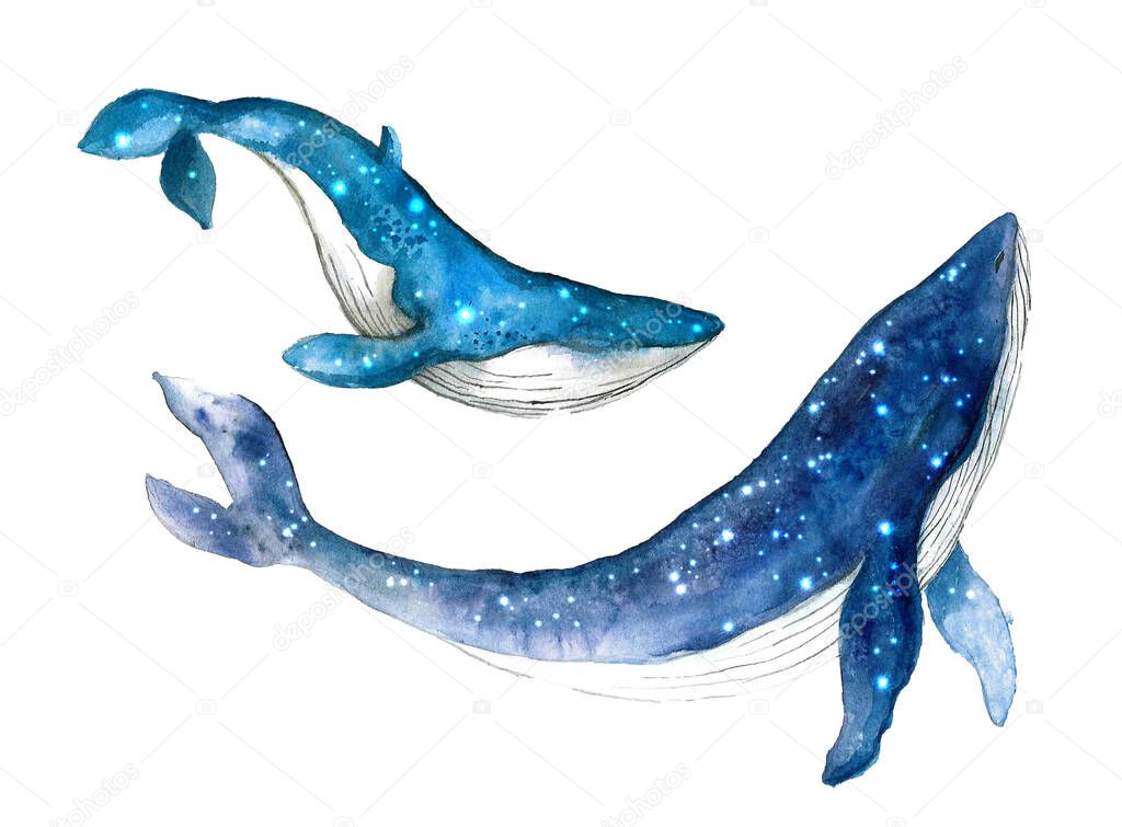 Watercolor whale hand painted illustration isolated on white background.Animal watercolor silhouette sketch. Hand draw art illustration.Graphic for fabric,tee-shirt, postcard, greeting card, sticker.