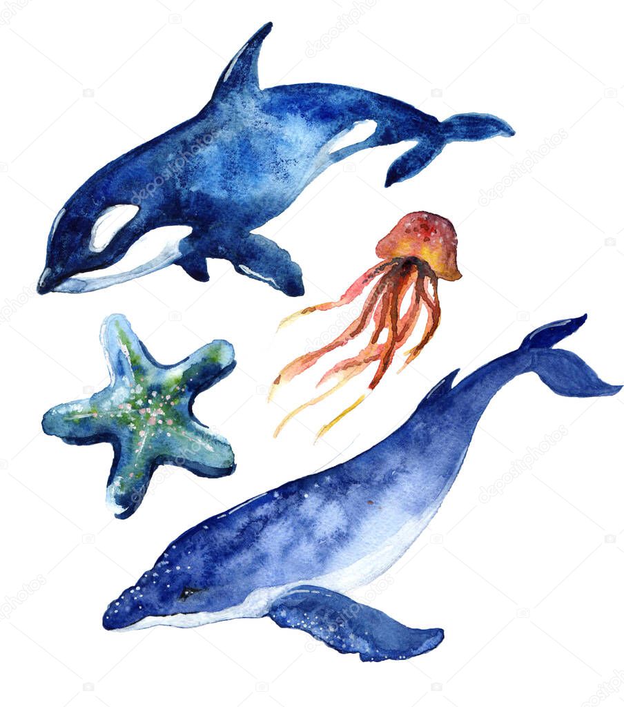 Watercolor whale hand painted illustration isolated on white background.Animal watercolor silhouette sketch. Hand draw art illustration.Graphic for fabric,tee-shirt, postcard, greeting card, sticker.