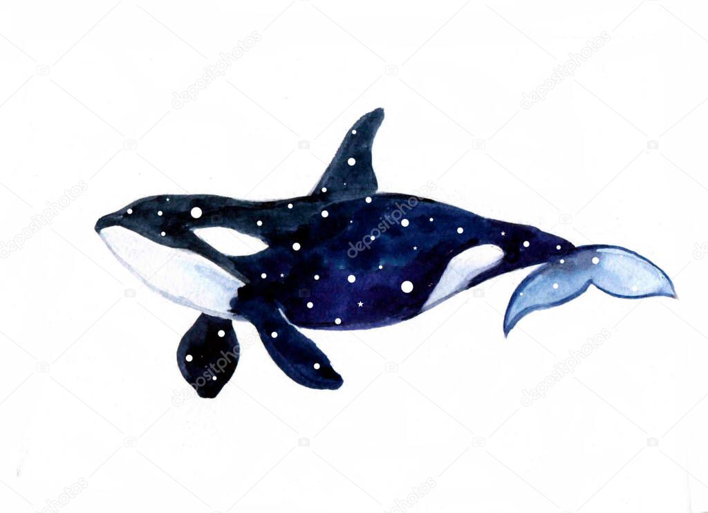 Watercolor whale hand painted illustration isolated on white background.Animal watercolor silhouette sketch. Hand draw art illustration.Graphic for fabric,tee-shirt, postcard, greeting card, sticker.Realistic underwater animal art.