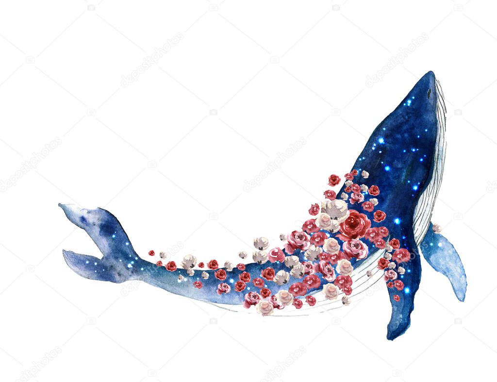 Watercolor whale hand painted illustration isolated on white background.Animal watercolor silhouette sketch. Hand draw art illustration.Graphic for fabric,tee-shirt, postcard, greeting card, sticker.Realistic underwater animal art.