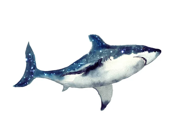 Yıldızlı Gökyüzü Olan Suluboya Köpekbalığı Hayvan Suluboya Silueti Çizimi Çizimi — Stok fotoğraf