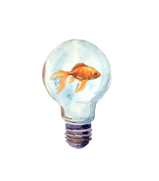 Aquarelle Poisson Croquis Illustration Sur Fond Blanc Poisson Doré Aquarium — Photo