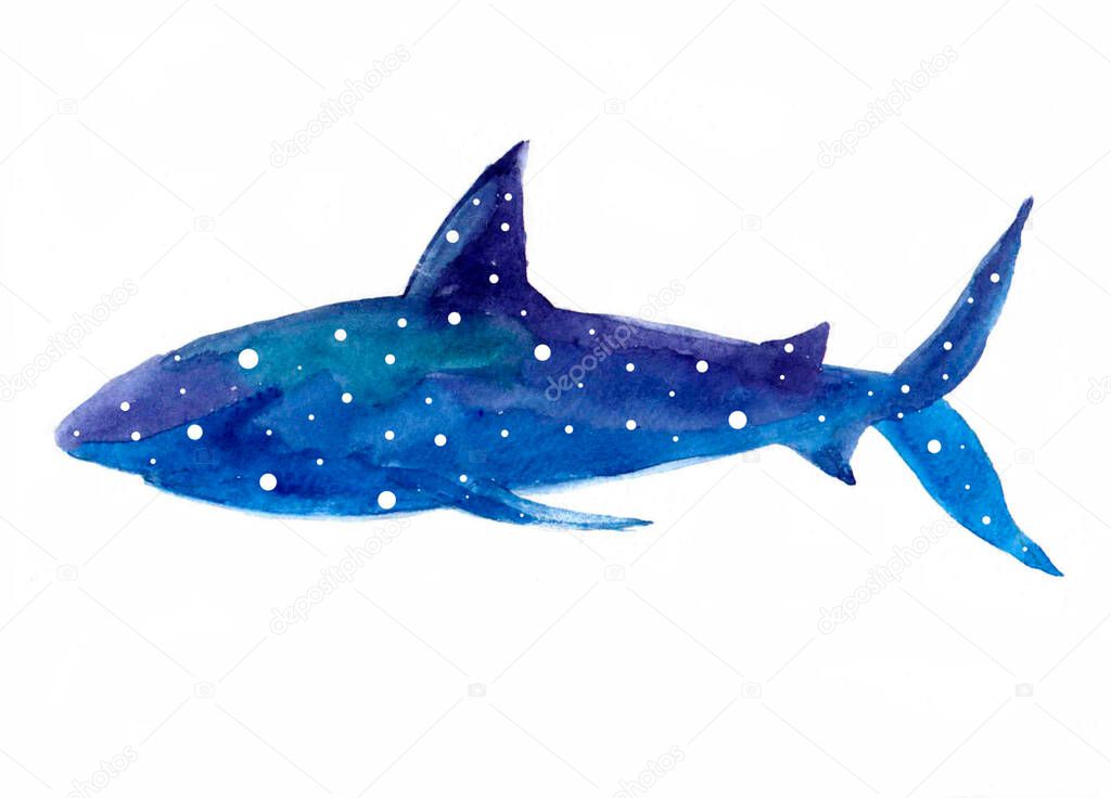 Watercolor shark with starry sky.Animal watercolor silhouette sketch. Hand draw art illustration.Graphic for fabric,tee-shirt, postcard, greeting card,logo, poster, sticker. watercolor drawing blue shark predator swims in the depths of the ocean.