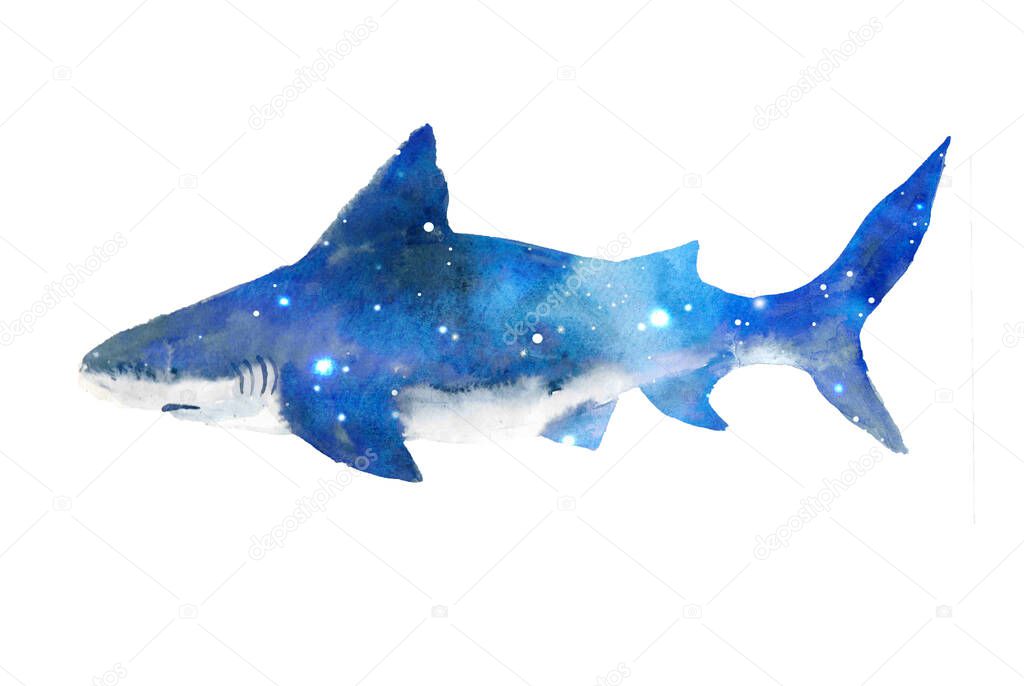Watercolor shark with starry sky.Animal watercolor silhouette sketch. Hand draw art illustration.Graphic for fabric,tee-shirt, postcard, greeting card,logo, poster, sticker. watercolor drawing blue shark predator swims in the depths of the ocean.