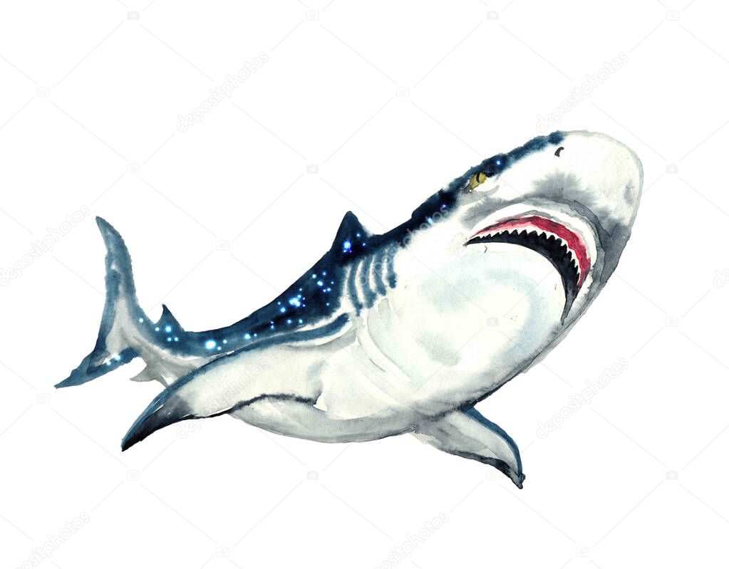Watercolor shark with starry sky.Animal watercolor silhouette sketch. Hand draw art illustration.Graphic for fabric,tee-shirt, postcard, greeting card,logo, poster, sticker. watercolor drawing blue shark predator swims in the depths of the ocean.