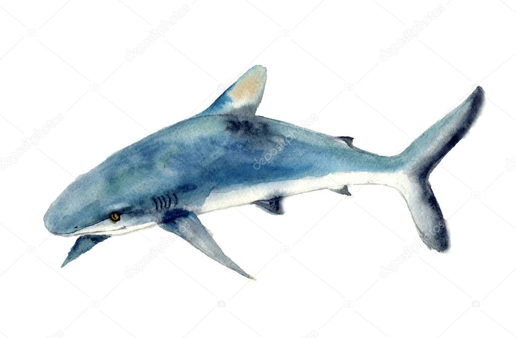 Watercolor shark with starry sky.Animal watercolor silhouette sketch. Hand draw art illustration.Graphic for fabric,tee-shirt, postcard, greeting card,logo, poster, sticker. watercolor drawing blue shark predator swims in the depths of the ocean.