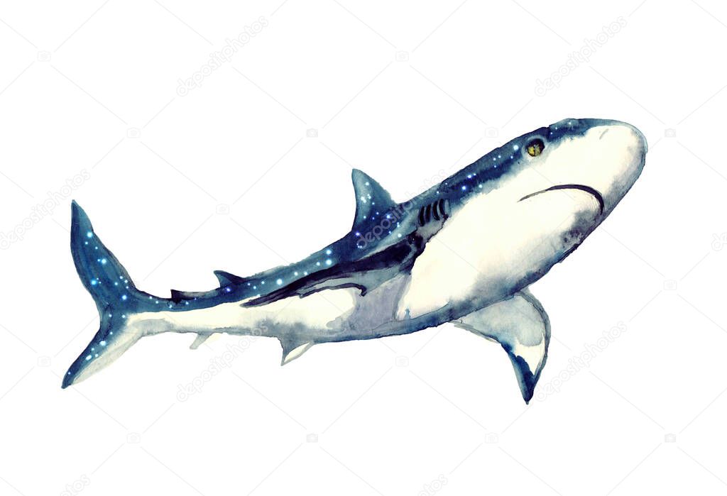 Watercolor shark with starry sky.Animal watercolor silhouette sketch. Hand draw art illustration.Graphic for fabric,tee-shirt, postcard, greeting card,logo, poster, sticker. watercolor drawing blue shark predator swims in the depths of the ocean.