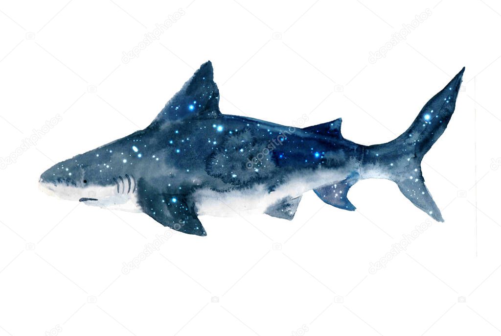Watercolor shark with starry sky.Animal watercolor silhouette sketch. Hand draw art illustration.Graphic for fabric,tee-shirt, postcard, greeting card,logo, poster, sticker. watercolor drawing blue shark predator swims in the depths of the ocean.