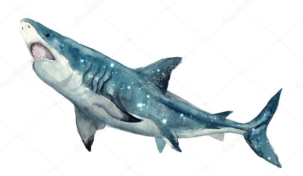 Watercolor shark with starry sky.Animal watercolor silhouette sketch. Hand draw art illustration.Graphic for fabric,tee-shirt, postcard, greeting card,logo, poster, sticker. watercolor drawing blue shark predator swims in the depths of the ocean.