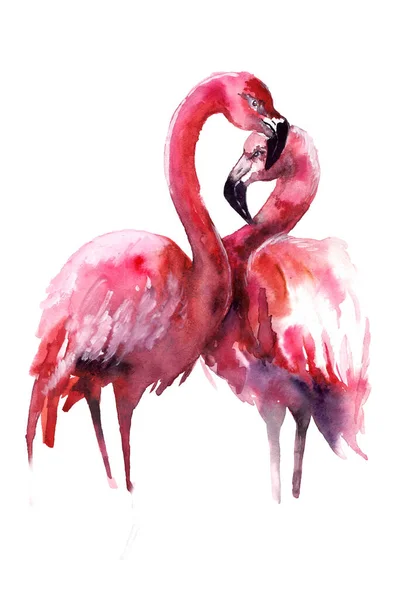 Akvarell Rózsaszín Flamingók Fehér Háttérrel Illusztráció Nyomtatáshoz Plakátokhoz Kártyákhoz Scrapbooking — Stock Fotó