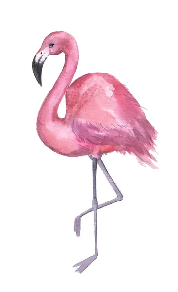 Aquarel Roze Flamingo Een Witte Achtergrond Illustratie Voor Drukwerk Affiches — Stockfoto