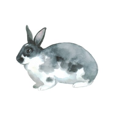 Suluboya sevimli tavşanlar. Şirin tüylü tavşan. Baskı için Paskalya illüstrasyonu. Güzel kartpostal. 