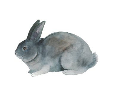 Suluboya sevimli tavşanlar. Şirin tüylü tavşan. Baskı için Paskalya illüstrasyonu. Güzel kartpostal. 