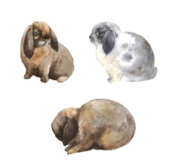 Suluboya sevimli tavşanlar. Şirin tüylü tavşan. Baskı için Paskalya illüstrasyonu. Güzel kartpostal. 