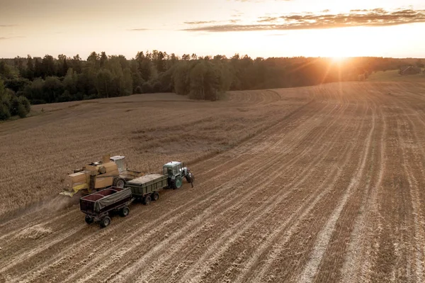 Top view of Combine harvester and the tractor on the field of ripe wheat in sunlight rays.