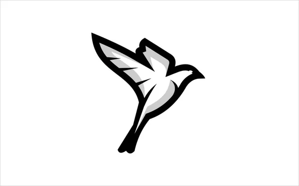 Uçan Kuş Tasarımı Yaban Hayatı Tüyü Grafik Tasarımı Siyah Renkli Arkaplan İlhamı