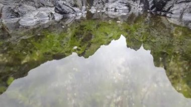 Kuzey İrlanda 'da Ballintoy' daki bir kaya havuzunun yüzeyinde hareket eden kamera su yüzeyine yansıyor ve yeşil yosun bitkisi yaşamı suyun altına gömülüyor..