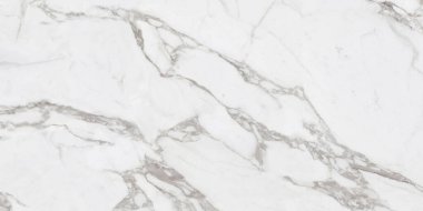 White Calacatta marble texture clipart