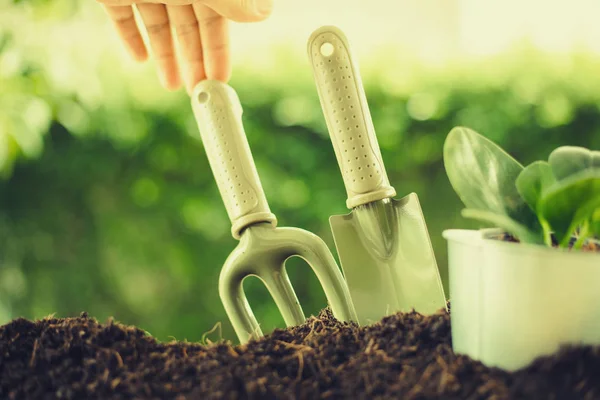 Plantando Uma Pequena Planta Uma Pilha Solo Com Ferramentas Jardinagem — Fotografia de Stock