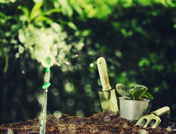 Piantare Una Piccola Pianta Mucchio Terreno Con Attrezzi Giardinaggio Sfondo — Foto Stock