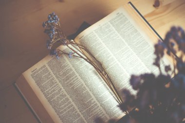 Ahşap masa için eğitim arka plan bulanık odaklı Kütüphane odasında açık kitap 