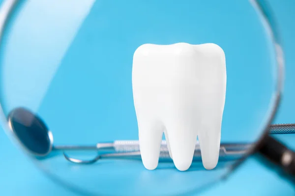 Modelo dental y equipo dental sobre fondo gris, concepto im — Foto de Stock