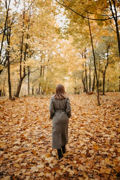 Mulher Jovem Casaco Cinza Andando Floresta Outono — Fotografia de Stock