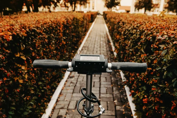 Elektrische Scooter Rijden Herfst Het Stadspark Milieuvriendelijk Vervoer Bij Koud — Stockfoto