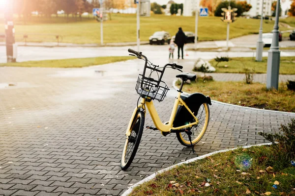 Ενοικίαση Ποδηλάτων Στην Πόλη Κατανομή Της Πράσινης Μεταφοράς — Φωτογραφία Αρχείου