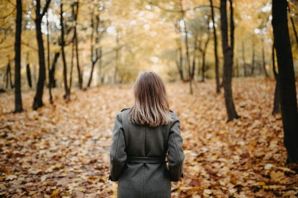 Mujer Joven Abrigo Gris Caminando Bosque Otoño — Foto de Stock