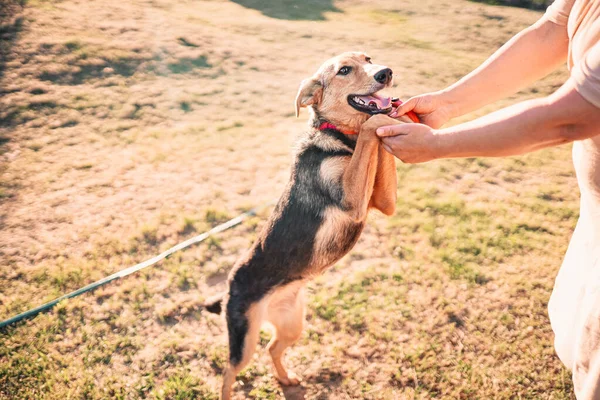 Dog Friend Man Hugs Smiles Pet Love Devotion Concept — Stock Photo, Image