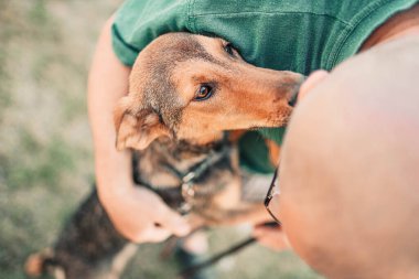 İnsan dostu köpek kucaklar ve gülümser, evcil hayvan sevgisi ve bağlılık konsepti.