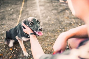 İnsan dostu köpek kucaklar ve gülümser, evcil hayvan sevgisi ve bağlılık konsepti.