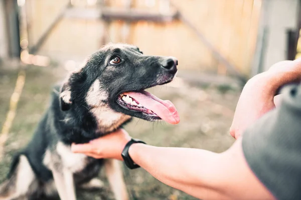 Dog Friend Man Hugs Smiles Pet Love Devotion Concept — Stock Photo, Image