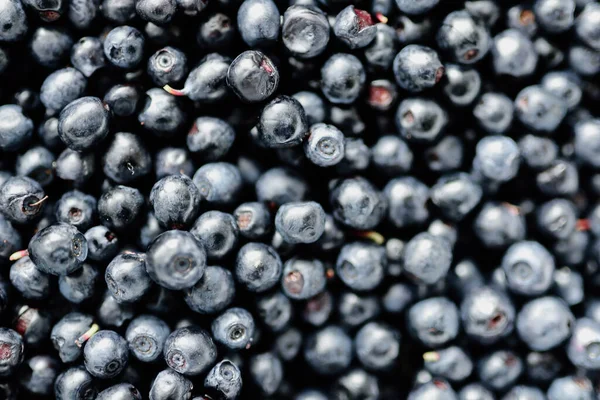 Lots Fresh Blueberries Texture Background Berries — Stock Photo, Image